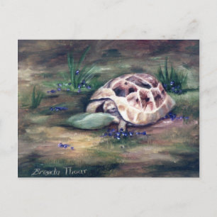 Angel Tortoise Postcard