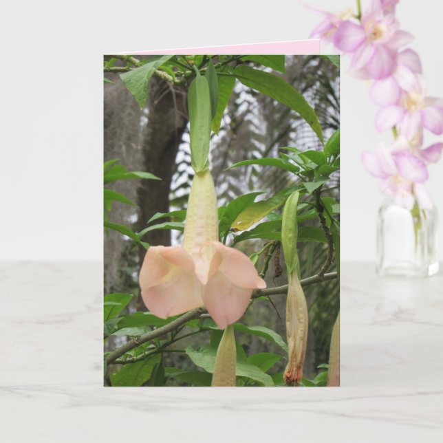 Angel Trumpet  Floral Greeting Card (Orchid)
