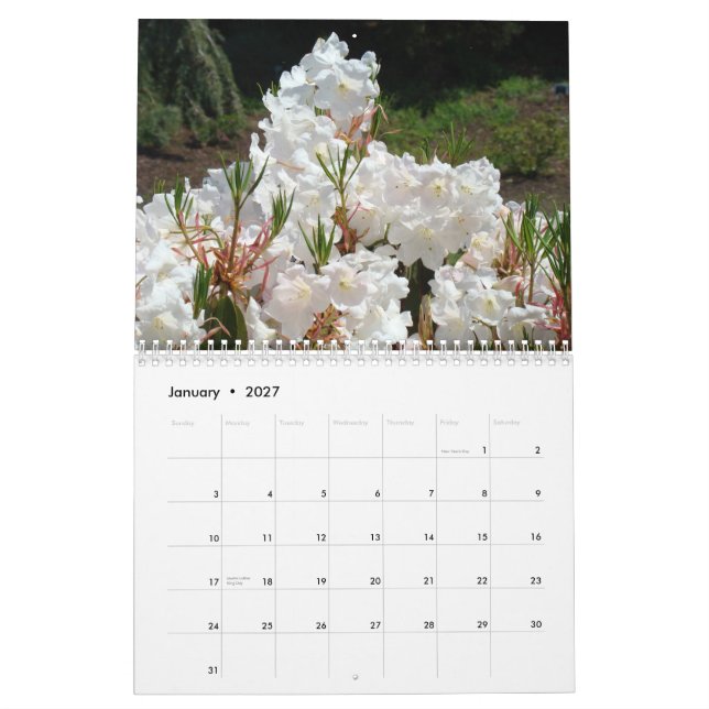 ANGEL WHITE FLOWERS Calendar White Florals (Jan 2027)