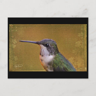 Angel Wing Series Postcard