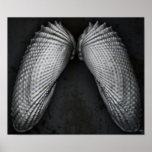 Angel Wings BW Poster