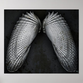 Angel Wings BW Poster