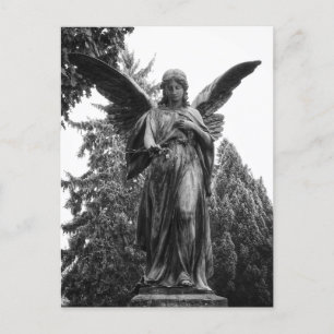 Angel With Spread Wings Holding A Flower Postcard