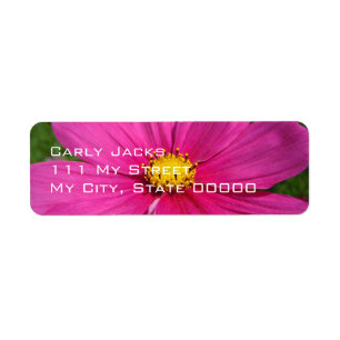 Angeled Pink Cosmo Return Address Label