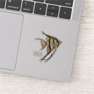 Angelfish cartoon illustration