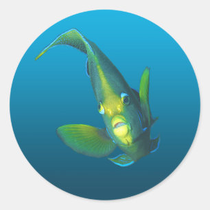 Angelfish - Design on gradient blue background Classic Round Sticker