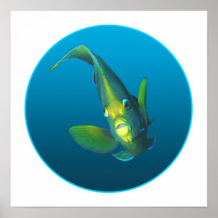 Angelfish - Design on gradient blue background    Poster