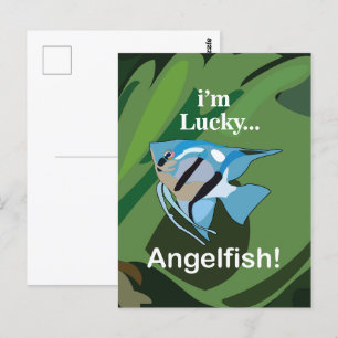 Angelfish Freshwater Tropical Aquarist Fisherman Postcard