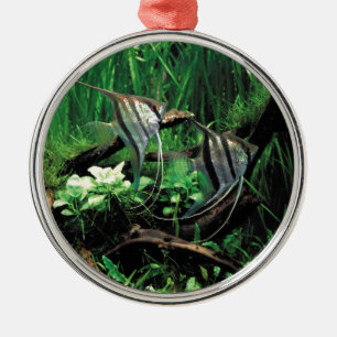 ANGELFISH METAL ORNAMENT