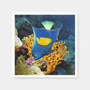 Angelfish picturesque in front of coral, Red Sea Napkin