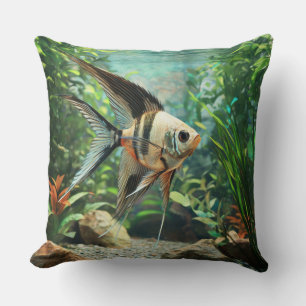Angelfish swimming in freshwater aquarium cushion