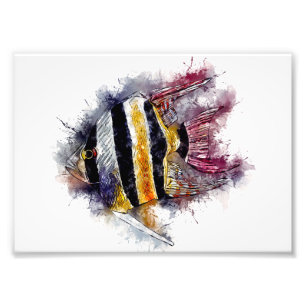 AngelFish Watercolor Aquarium Sea Creature Artwork Photo Print