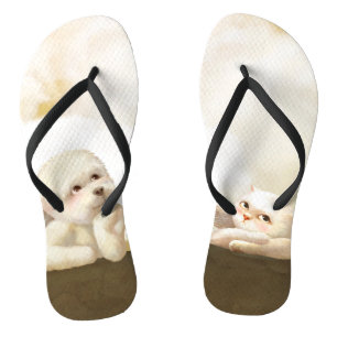 Angelic Dog and Cat on Cloud Thongs
