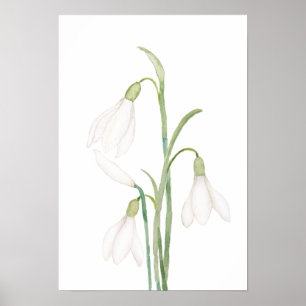 angelic snowdrop flowers watercolor poster