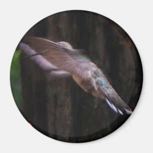 Angelic Wings Magnet