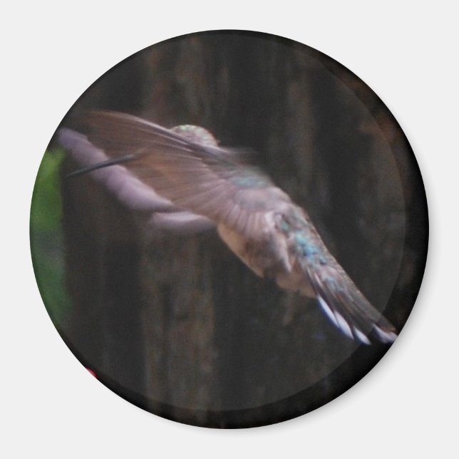 Angelic Wings Magnet (Front)