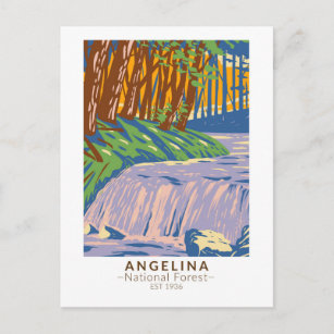 Angelina National Forest Boykin Creek Vintage Postcard