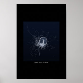 angels drive jellyfish poster