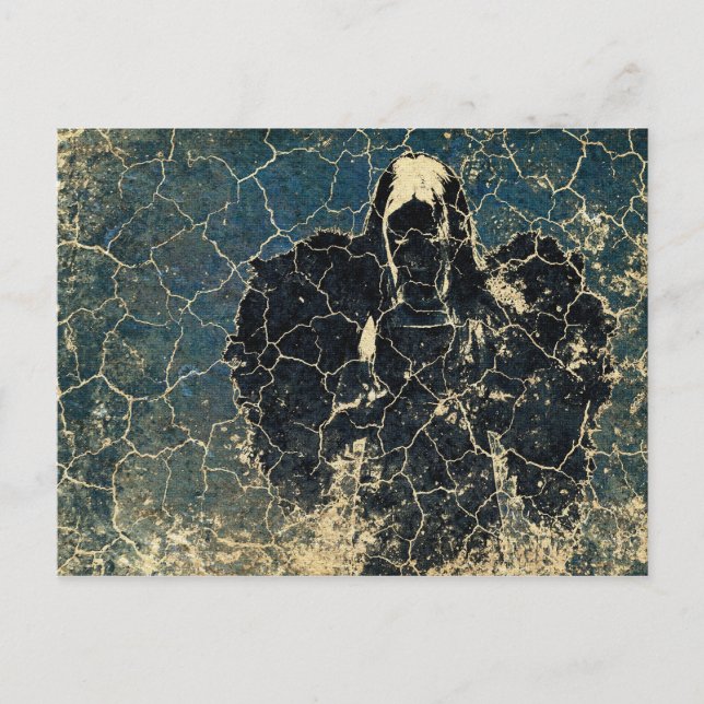 Angels Fall First Postcard (Front)