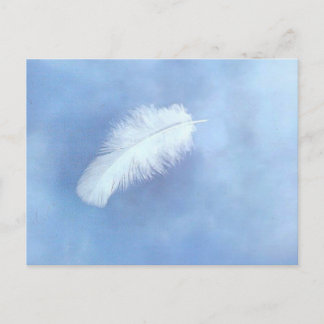 Angel's Feather Postcard