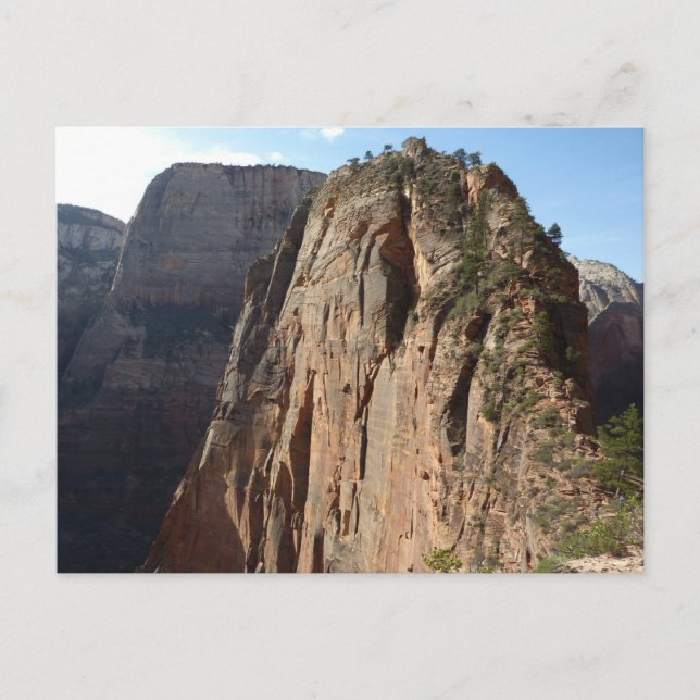 Angels Landing at Zion National Park Postcard (Front)