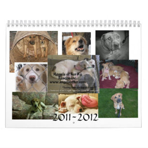 Angels of Fur Calendar 12m 6/11-5/12