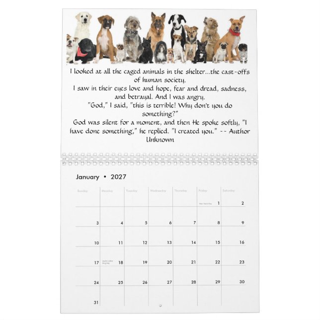 Angels of Fur Calendar 12m 6/11-5/12 (Jan 2027)