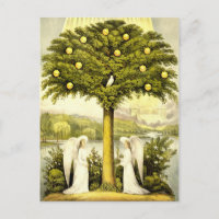 angels times past postcard