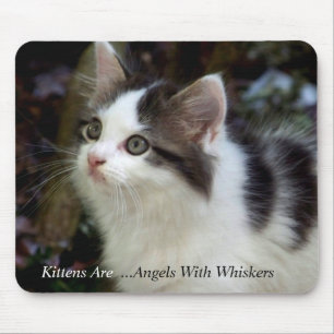 Angels With Whiskers (kitten) Mousepad