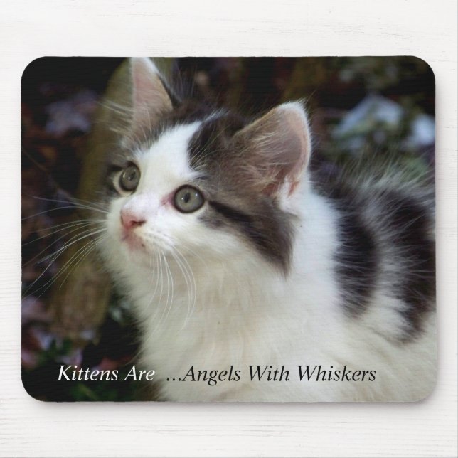 Angels With Whiskers (kitten) Mousepad (Front)