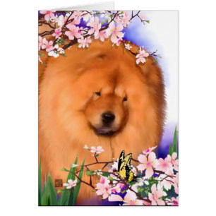ANGIE heARTdog chow