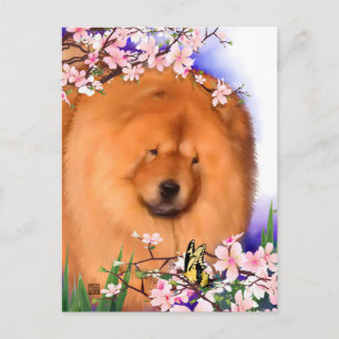 ANGIE heARTdog chow postcard