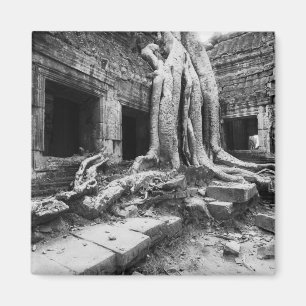 Angkor Cambodia, Ta Prohm Tree Magnet
