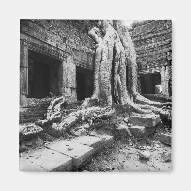Angkor Cambodia, Ta Prohm Tree Magnet (Front)