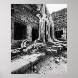 Angkor Cambodia, Ta Prohm Tree Poster