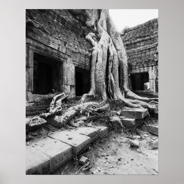Angkor Cambodia, Ta Prohm Tree Poster (Front)