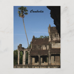 angkor tree postcard