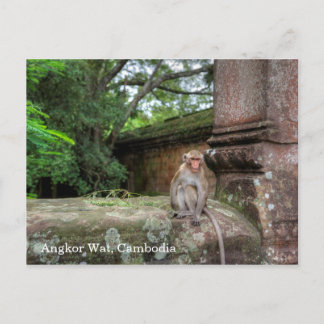 Angkor Wat Cambodia Postcard