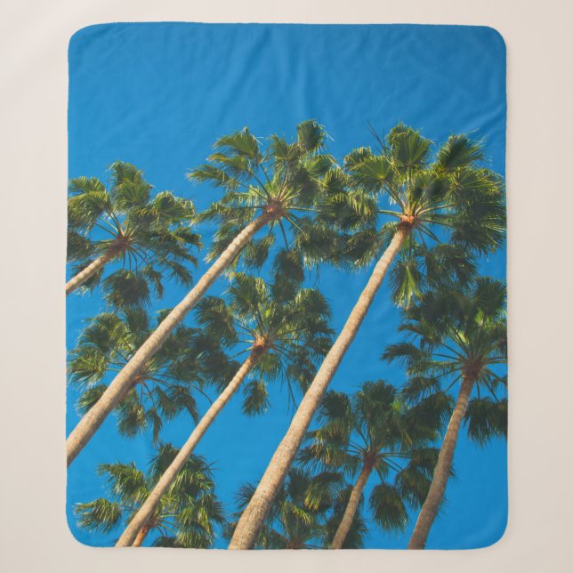 Angle perspective of group of tall thin palm trees sherpa blanket (Front)
