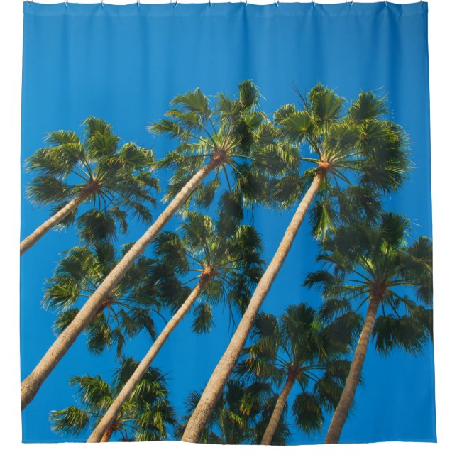Angle perspective of group of tall thin palm trees shower curtain (Front)