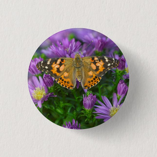 Angle Wing Butterfly On Cone Flower 3 Cm Round Badge (Front)