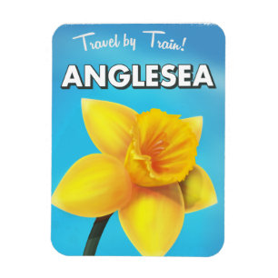 Anglesea Vintage travel poster cartoon Magnet