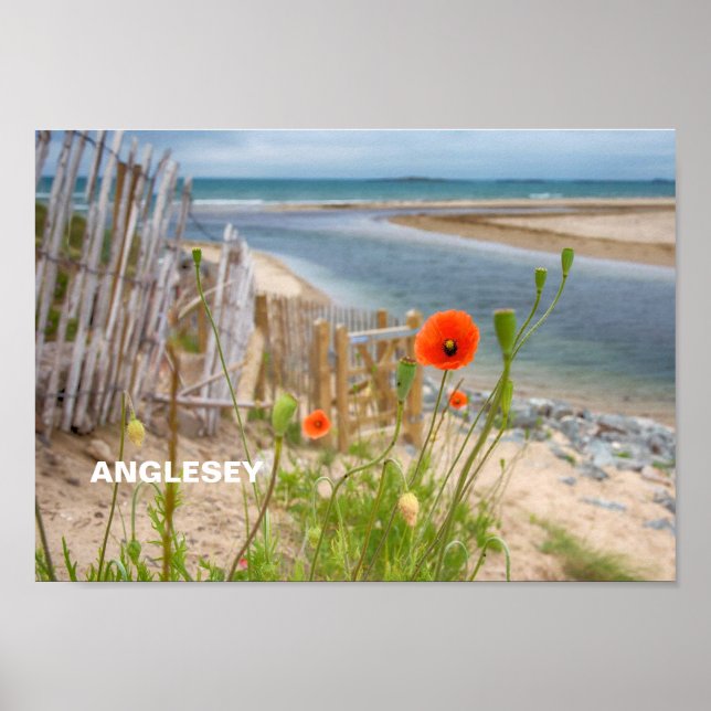 Anglesey Wales Scenic View Beach And Wild Poppies Poster (Front)