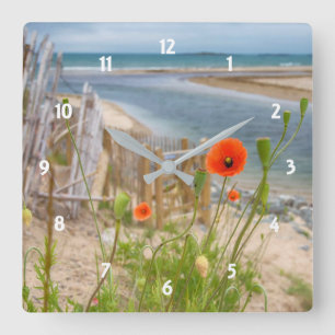 Anglesey Wales Scenic View Beach And Wild Poppies Square Wall Clock