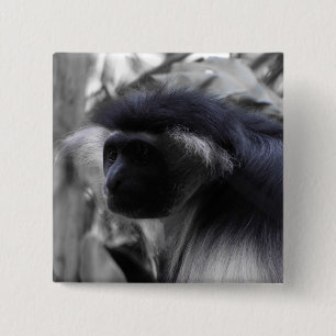 Angolan Black and White Colobus Monkey 15 Cm Square Badge