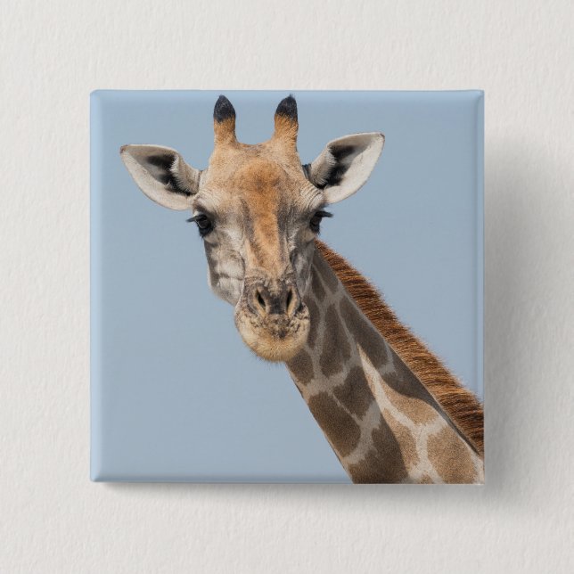 Angolan Giraffe Portrait 15 Cm Square Badge (Front)