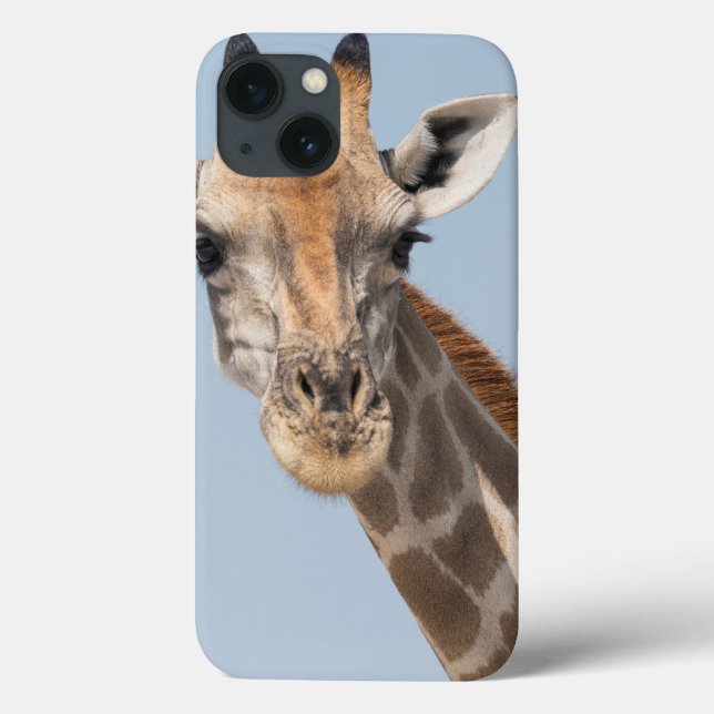 Angolan Giraffe Portrait Case-Mate iPhone Case (Back)