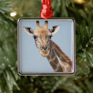 Angolan Giraffe Portrait Metal Ornament