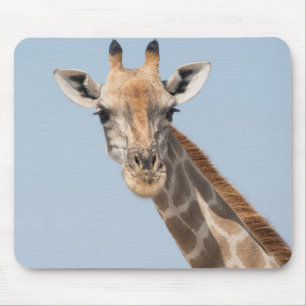 Angolan Giraffe Portrait Mouse Pad