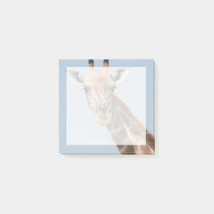 Angolan Giraffe Portrait Post-it Notes